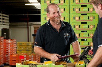Pinata Farms' South Queensland operations manager Joe Schwarer