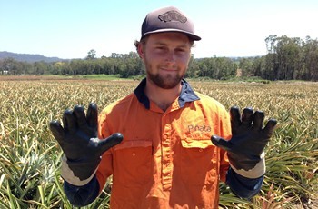 Pinata Farms' pineapple picker Zac Austin