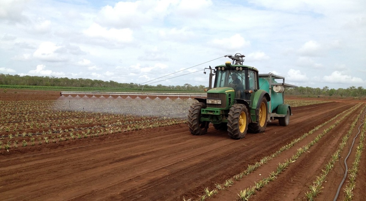 Preparing the soil for planting pineapples at Humpty Doo, near Darwin