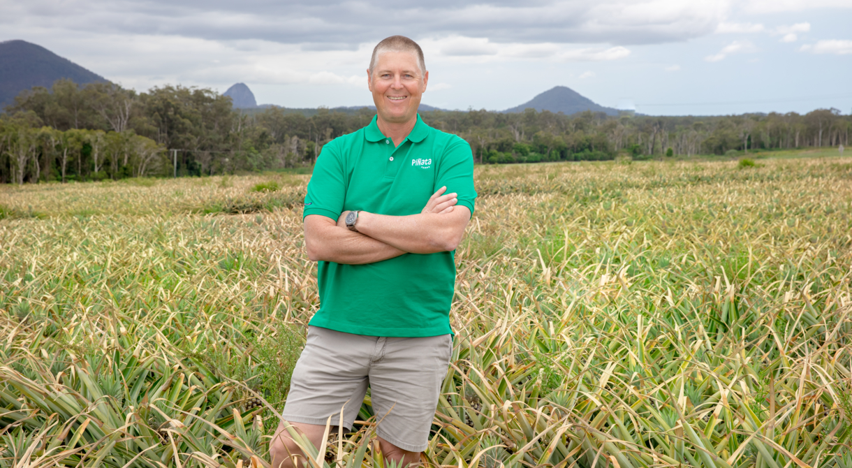 Man standing in a field of pineapples with mountains in the background