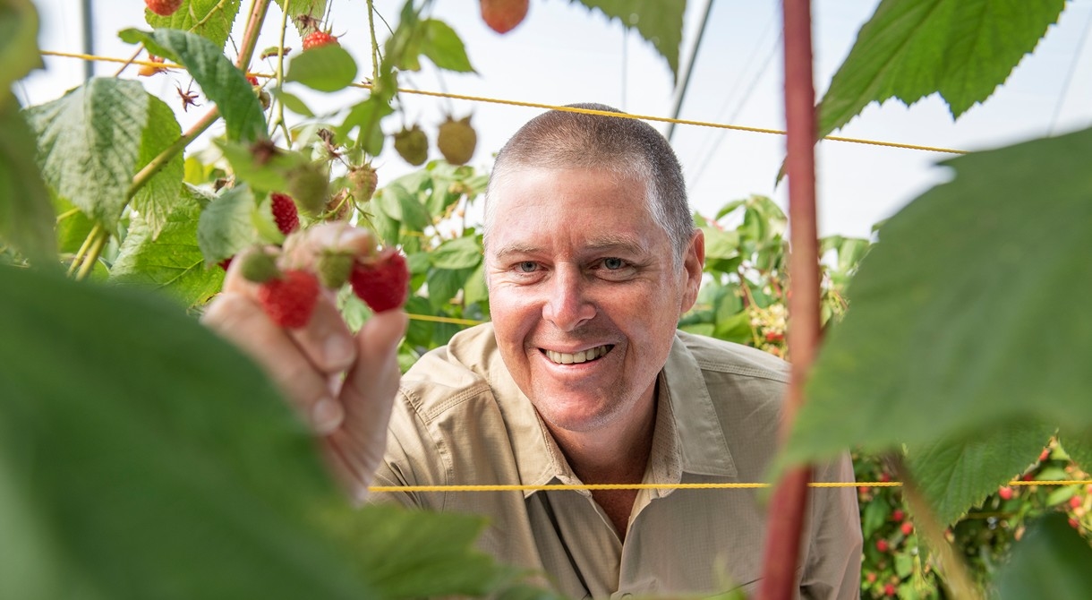 Gavin Scurr launches Tasmanian raspberries