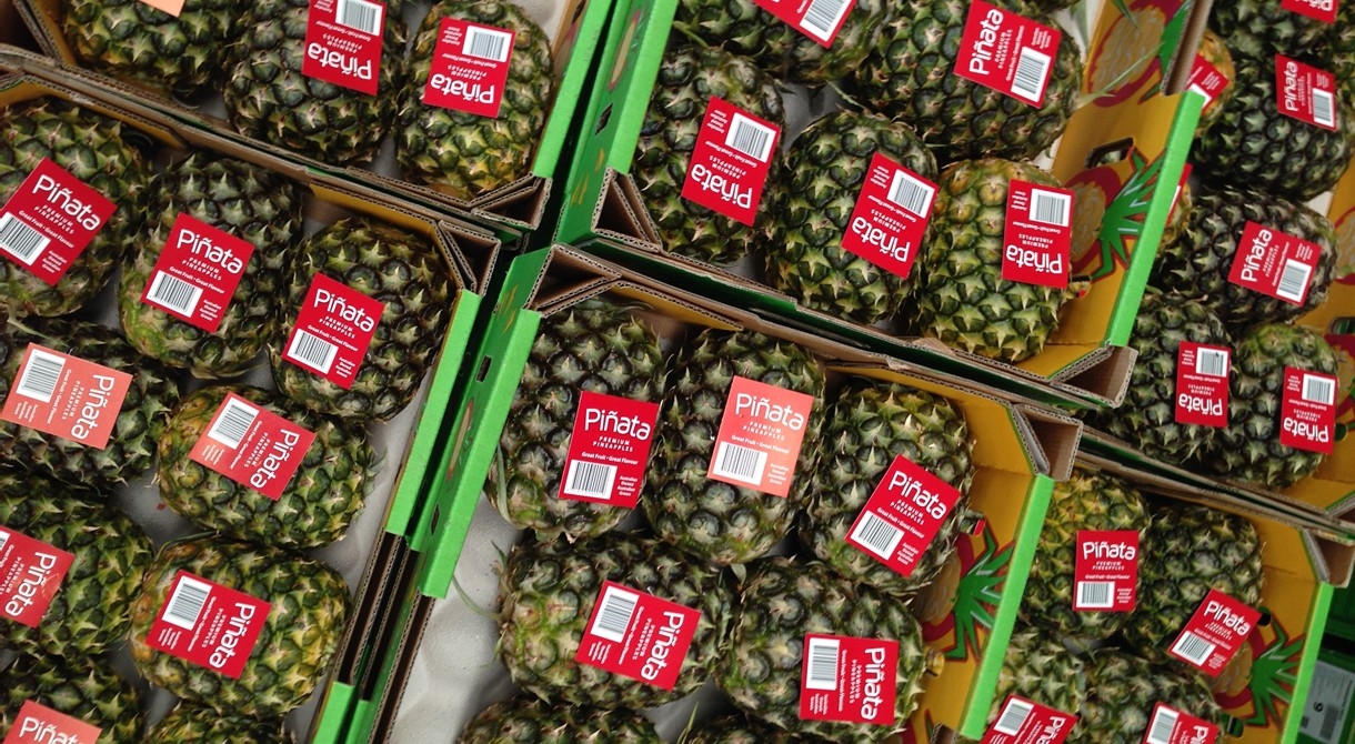 Trays of Pinata pineapples with a red label