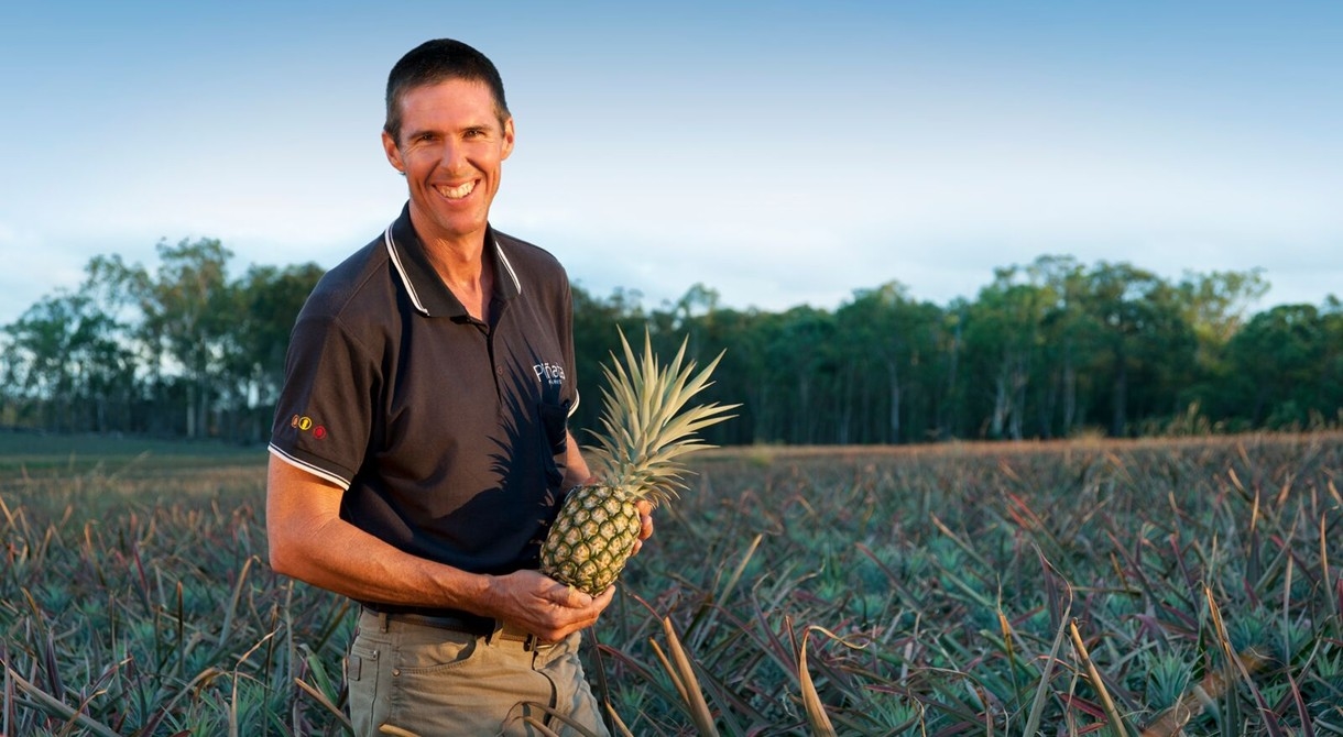 North Queensland operations manager Stephen Scurr in a field of pineapples