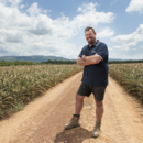 South Queensland production manager Tony French in a field of pineapples at Wamuran, south-east Queensland