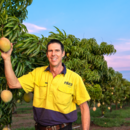 General manager tropicals, Stephen Scurr in the mango orchard, Darwin