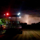 Picking Honey Gold mangoes at night during a storm, Katherine, Northern Territory