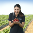 Sales and marketing manager Rebecca Scurr with a handful of strawberries, Wamuran