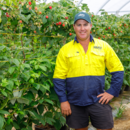 Wamuran raspberry farm manager Lindsay Hewitt