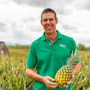 General manager tropicals, Stephen Scurr in the pineapple field, Mareeba
