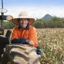 South Queensland pineapple farm manager Adrian Dipple in the pineapple field, Wamuran