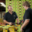 South Queensland operations manager Joe Schwarer at the Piñata Farms' packing shed, Wamuran, Queensland