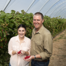 Sales and marketing manage Rebecca Scurr and managing director Gavin Scurr in the specialty raspberry crop at Wamuran, Queensland