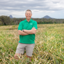Managing director Gavin Scurr in the pineapple field, Wamuran