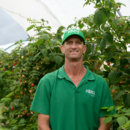 General manager berries Johann Oosthuizen