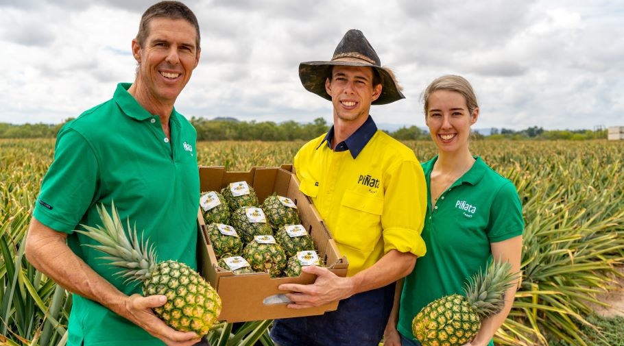 Stephen Scurr with Ben Scurr and Courtney Thies in the pineapple field at Mareeba