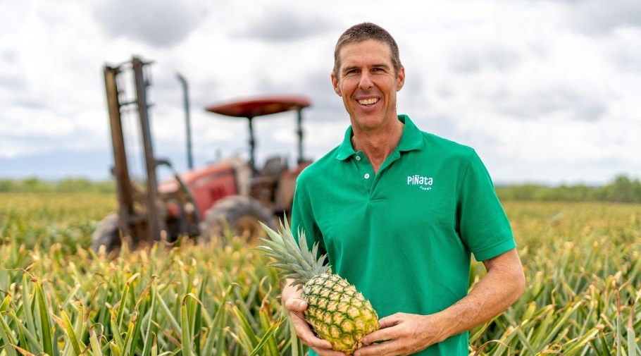 General manager Stephen Scurr with pineapples at Mareeba, Far North Queensland