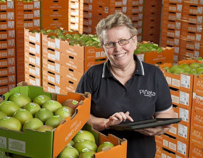 Jenny - Pinata Farms surrounded trays of beautiful mangoes